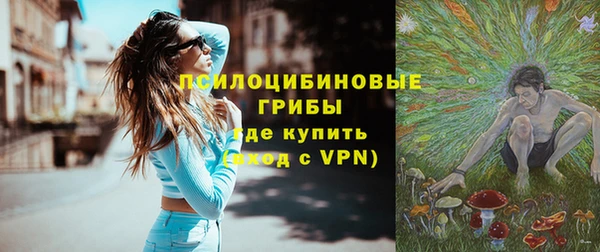круглые Алексеевка