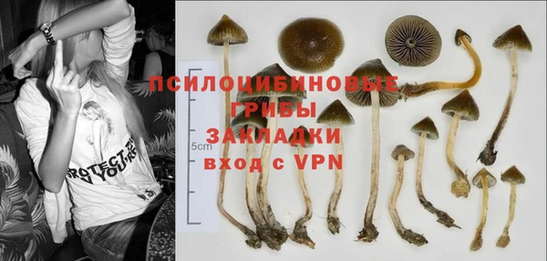 экстази Алексин