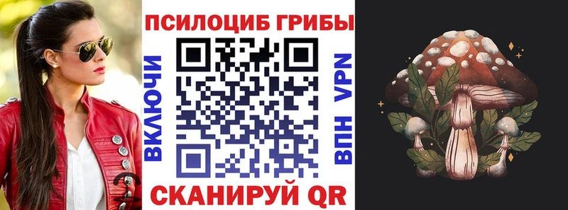 гидра зеркало  darknet как зайти  Псилоцибиновые грибы Cubensis  Лукоянов 